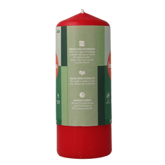 Bolsius Stompkaars 150/58 delicate red 1 Stuks