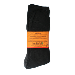 Apollo Thermosok 43-46 assorti donker 3 Paar