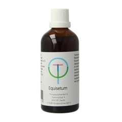 Therapeutenwinkel Equisetum 100.00 Milliliter