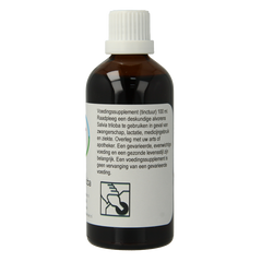 Therapeutenwinkel Salvia triloba 100 Milliliter