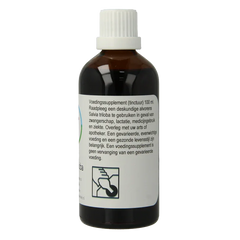 Therapeutenwinkel Salvia triloba 100 Milliliter
