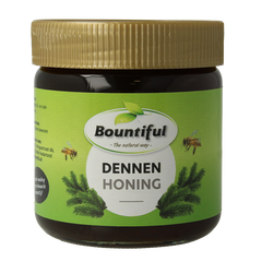 Bountiful Dennen honing 500 Gram