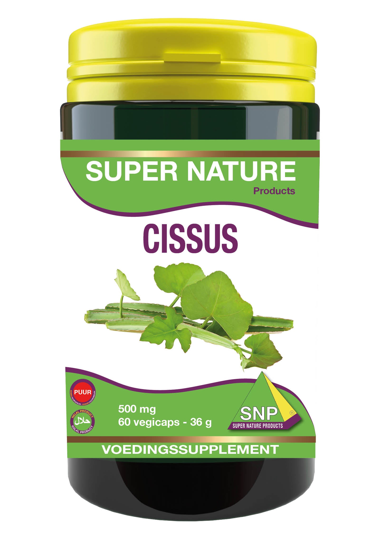 SNP Cissus 500mg puur 60 Capsules