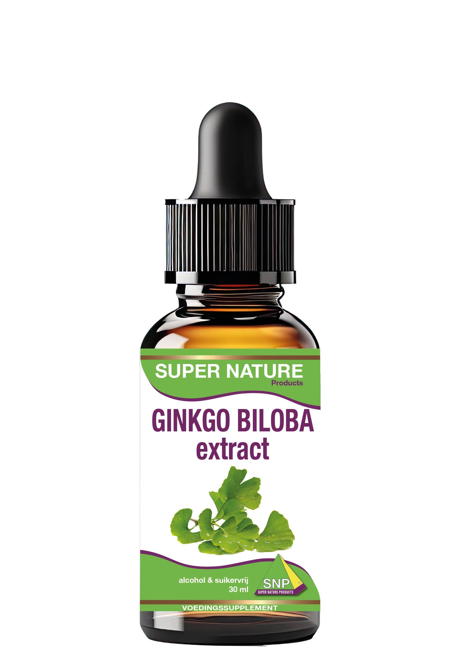 SNP Ginkgo biloba extract fluid 30 Milliliter