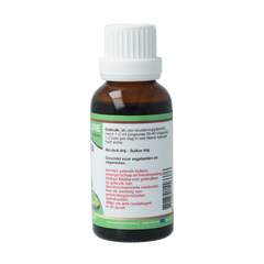SNP Ginkgo biloba extract fluid 30 Milliliter