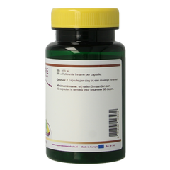 SNP IJzer bisglycinaat 28mg 60.00 Capsules
