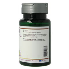 SNP IJzer 45mg TR 60.00 Capsules