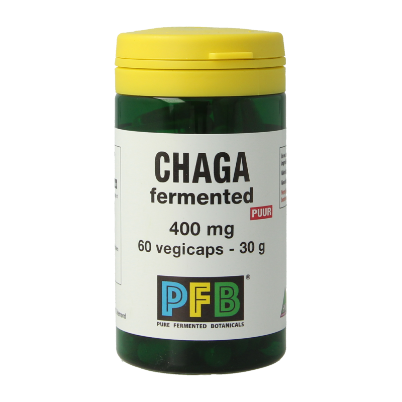 SNP Chaga fermented 400 mg puur 60.00 Vegetarische capsules
