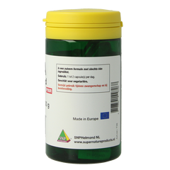 SNP Chaga fermented 400 mg puur 60.00 Vegetarische capsules