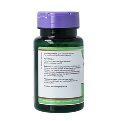 SNP Pompoenpitolie 500mg 60 Capsules