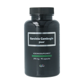 APB Holland Garcinia cambogia puur 290mg 90 Vegetarische capsules