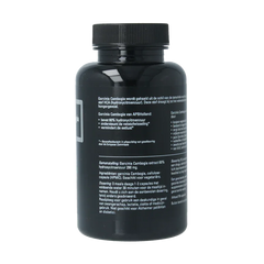 APB Holland Garcinia cambogia puur 290mg 90 Vegetarische capsules