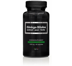 APB Holland Ginkgo Biloba extract puur forte 530mg 60 Capsules