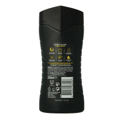 AXE Showergel Africa 250 Milliliter