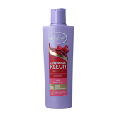 Andrelon Shampoo levendige kleur 250.00 Milliliter
