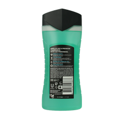 AXE Showergel aqua bergamot 300 Milliliter