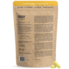 Goyu Berberine extract 400mg 60.00 Vegetarische capsules