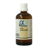 GO Acer campestris bio 100 Milliliter