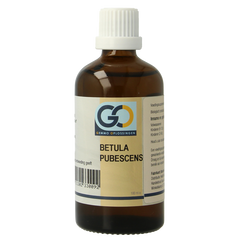 GO Betula pubescens bio 100 Milliliter