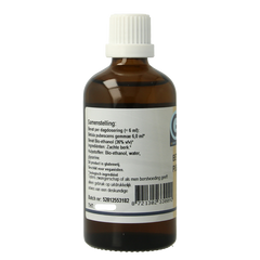 GO Betula pubescens bio 100 Milliliter