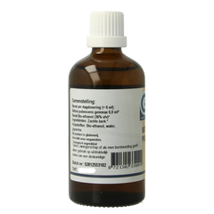 GO Betula pubescens bio 100.00 Milliliter