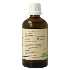 GO Betula pubescens bio 100 Milliliter