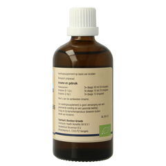 GO Betula pubescens bio 100.00 Milliliter