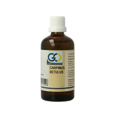GO Carpinus betulus bio 100 Milliliter