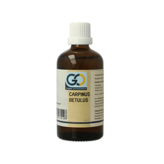 GO Carpinus betulus bio 100.00 Milliliter
