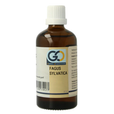 GO Fagus sylvatica bio 100 Milliliter