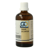 GO Fagus sylvatica bio 100.00 Milliliter
