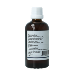 GO Ilex aquifolium bio 100 Milliliter