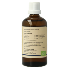 GO Ribes nigrum bio 100.00 Milliliter