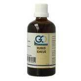 GO Rubus idaeus bio 100 Milliliter