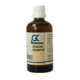 GO Sequoia gigantea bio 100.00 Milliliter