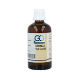 GO Syringa vulgaris bio 100.00 Milliliter