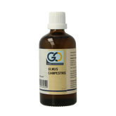 GO Ulmus campestris bio 100.00 Milliliter