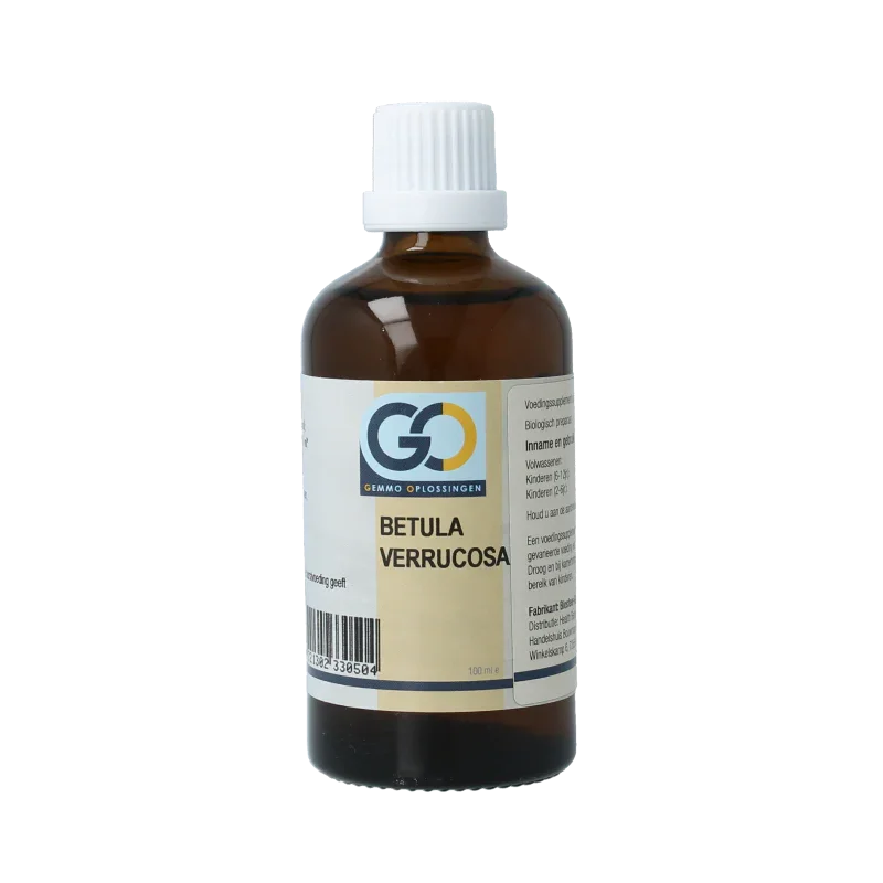 GO Betula verrucosa bio 100.00 Milliliter
