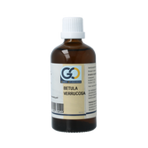 GO Betula verrucosa bio 100 Milliliter