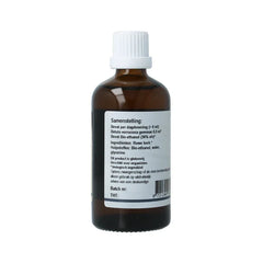 GO Betula verrucosa bio 100 Milliliter