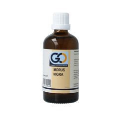 GO Morus nigra bio 100 Milliliter