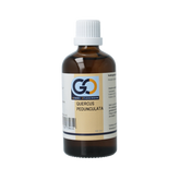 GO Quercus pedunculata 100 Milliliter