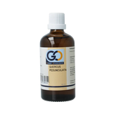 GO Quercus pedunculata 100 Milliliter