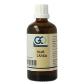 GO Ficus carica bio 100 Milliliter