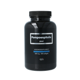 APB Holland Pompoenpitolie puur 500mg 200 Softgels