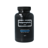 APB Holland Pompoenpitolie puur 500mg 200.00 Softgels