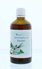 Balancepharma HGP014 Gemmoplex darmen 100.00 Milliliter