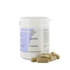 Holisan Gunadi 90 Capsules