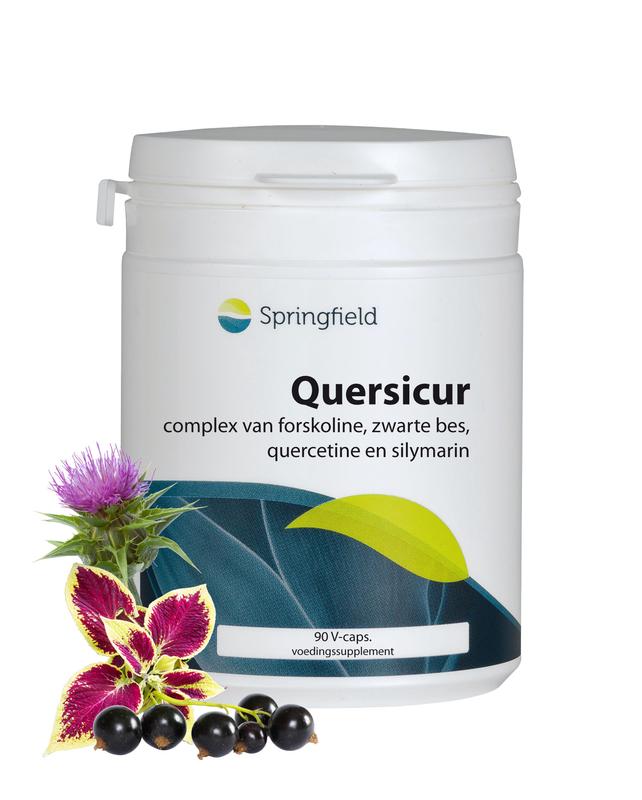 Springfield Quersicur antioxy complex 90 Vegetarische capsules