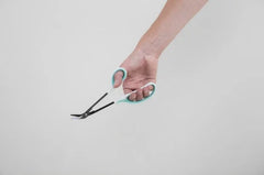 Able 2 Teennagelschaar op lange steel 1 Stuks